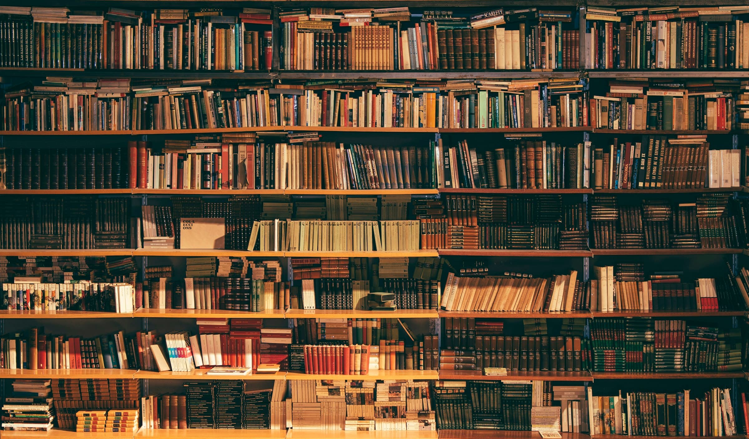 Library bookshelves